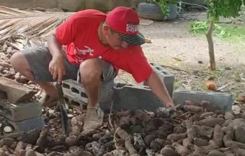 Producción de ñame en riesgo, productores piden ayuda