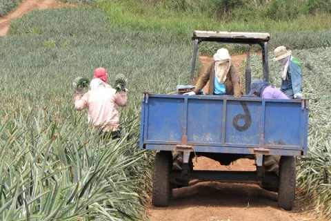 Buscan nuevas estrategias para reducir la pérdida de suelo