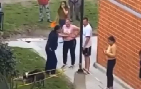 ¿Cómo salvo a un perro del ataque de otro más fuerte?