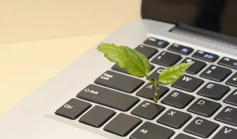 Tecnología: Preferencias de los consumidores