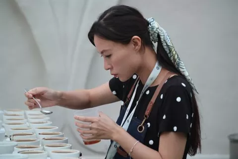 El café Geisha vuelve a coronarse como el mejor de Panamá