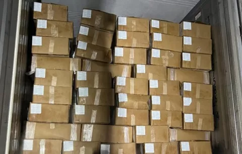 Panameños exportan 37.4 toneladas de camarón a China