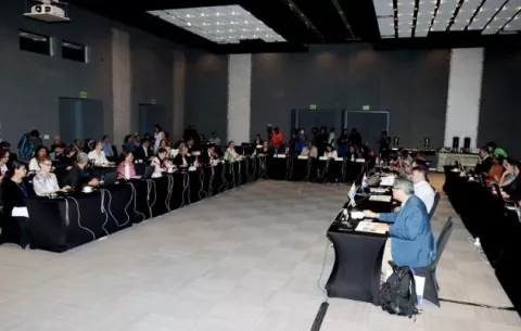 Panamá acoge la Conferencia de las Partes (COP 31) 