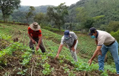 Doctorado en Ciencias Agropecuarias fortalecerá el sector 
