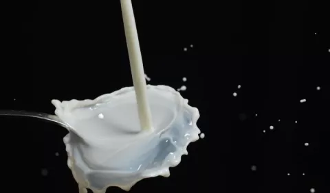 Leche, para la salud de los huesos y músculos