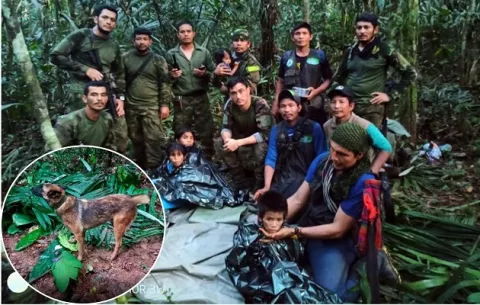 Niños rescatados en la selva están estables; perro no aparece