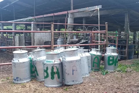 Ganaderos de La Chorrera le exigen al Mida pozos profundos