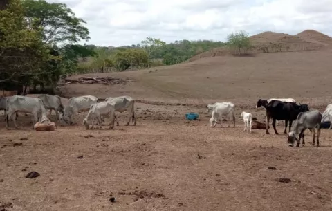 Sequía ha empeorado en los últimos años en Panamá