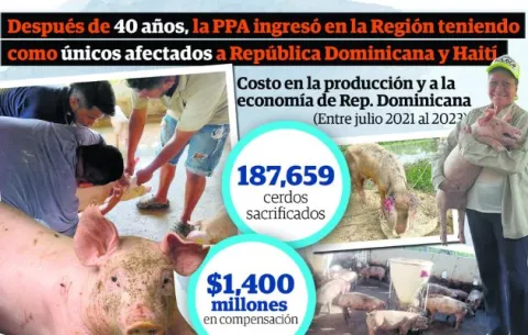 Peste Porcina Africana: Virus transfronterizo que desafía mecanismos de bioseguridad