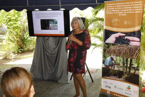 Panamá pone en marcha proyecto relacionado con uso del bambú
