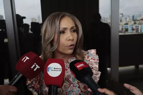 Tribunal Electoral ha permitido a Roux actuar a sus anchas