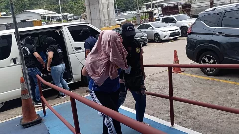 Imputan cargos a implicados en tráfico de aleta de tiburón 