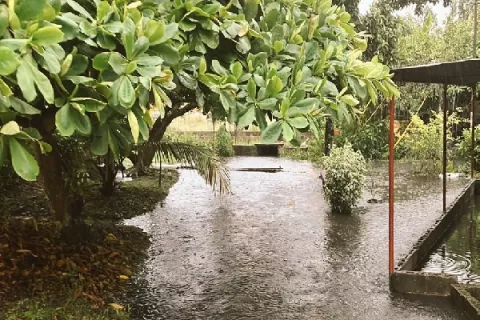 Unas 100 casas afectadas por inundaciones en Bocas del Toro