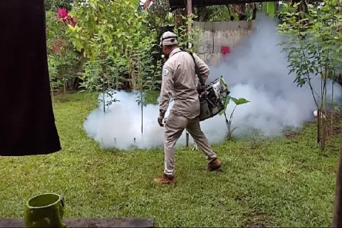 Salud confirma 114 casos de dengue clásico en Chiriquí