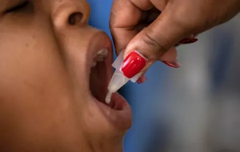  ¿Cómo se activa la toxicidad de la bacteria del cólera?
