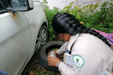 Casos de dengue van en aumento en varios sectores de Colón