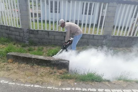 Salud interviene varias comunidades en Colón por el dengue