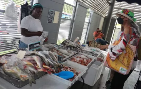 ‘Del Mar a la Mesa’ incentiva consumo de productos acuáticos