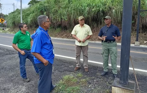 Toman acciones para prevenir gusano barrenador en Colón