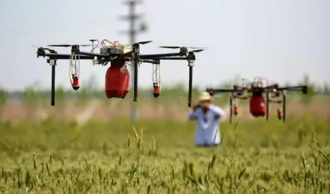  ¿Por qué los jóvenes no tienen marcado interés en el agro?