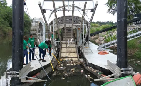 Marea Verde recibe galardón internacional 