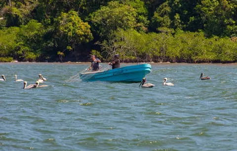 Habitantes del trópico, claves para la conservación marina