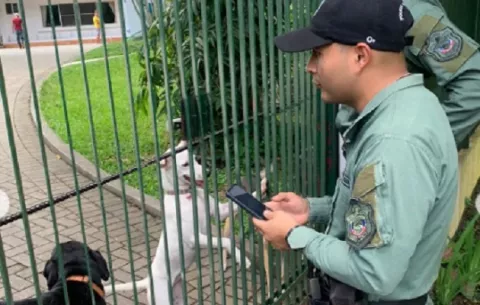 Perrita abandonada en Las Cumbres, con final feliz