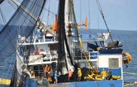 Alerta por medida que afectará a la industria pesquera