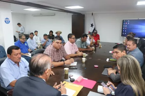 Se quejan del uso del maíz importado en producción nacional