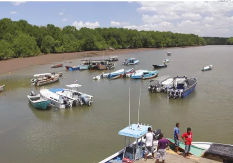 Experiencias de género y gobernanza en la pesca artesanal