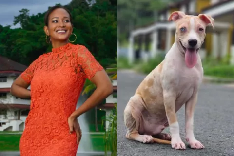 Yomatsy Hazlewood advirtió que le quieren quitar su mascota