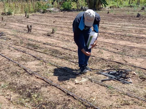 Agro Solidario es extendido hasta el último día del gobierno