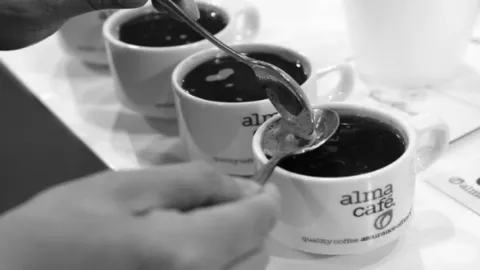 Lanzan un diplomado de bioeconomía aplicada al café