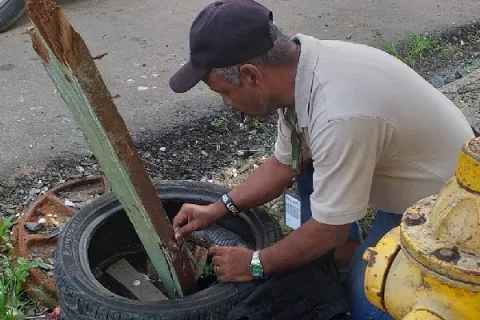 La provincia de Colón está cerca de los mil casos de dengue