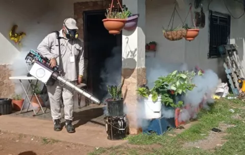 Minsa registra 4,074 casos de dengue en todo el país