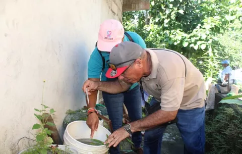 San Miguelito, con infestación regional de dengue del 5.4 %