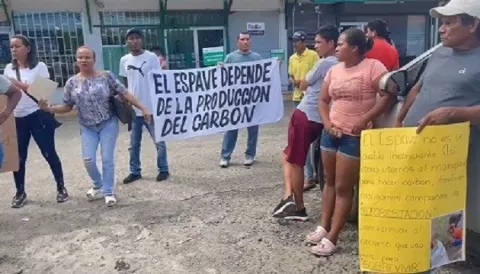 Carboneros de Chame reclaman permisos para tala de mangle
