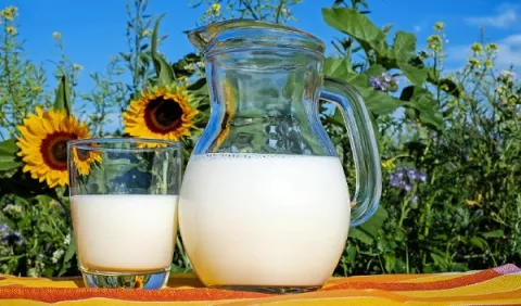 ¿La leche ayuda a controlar el peso?