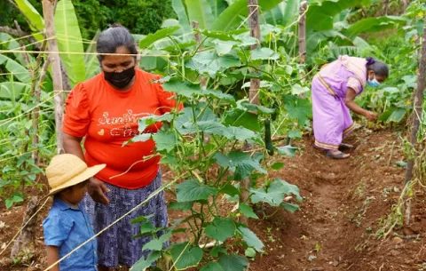 Emprendimiento, una opción ante la migración en las comarcas