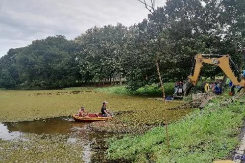 Tratan de salvar el lago de la feria de Ocú y sus especies