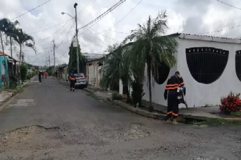 Fumigan en tres sectores de Arraiján por casos de dengue