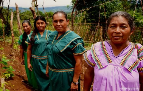 FAO pide respetar participación de los pueblos indígenas 