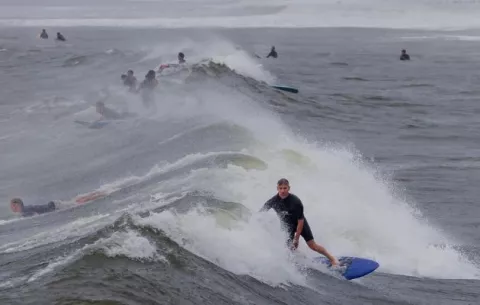 Rockaway Beach cierra por ataque de un tiburón