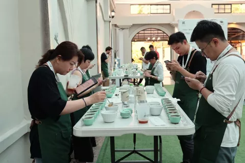 El café Geisha de Panamá impone un nuevo récord mundial