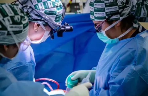 Riñón de cerdo funciona por más de un mes en cuerpo humano 