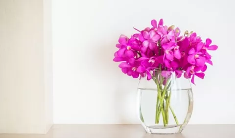 Consejos para extender la vida útil de las flores en casa