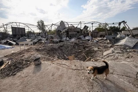 Ucrania asegura haber recuperado tierras de ciudad de Bajmut