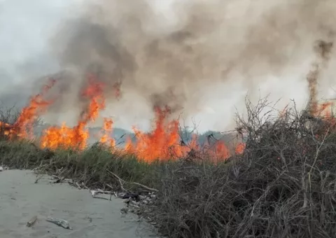 Gran incendio de masa vegetal a orillas de playas santeñas