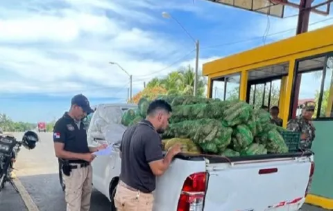 Contrabando de productos agrícolas supera los $100,000 