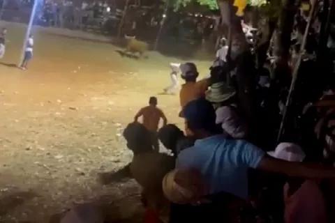 Joven muere al ser corneado por un toro en Guararé 